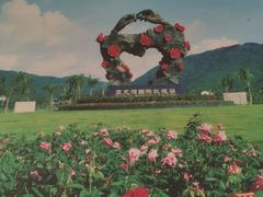 -亚龙湾国际玫瑰谷