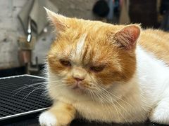 -南开大学(八里台校区)