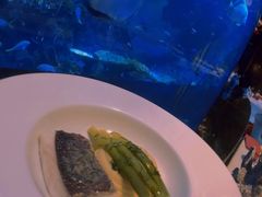 -迪拜帆船酒店海底餐厅