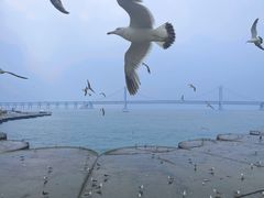 -星海广场
