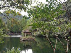 -宁海森林温泉