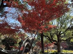-申粤轩酒楼·三十年粤菜经典(丁香花园店)