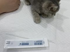 -佳雯宠物医院(金华南路分院)