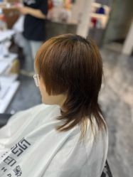 -sy杉影印象COLOUR专业烫染