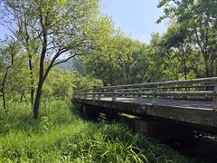 -西湖风景区-江洋畈生态公园