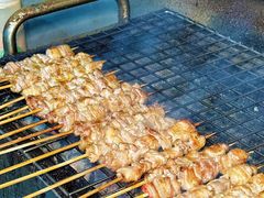 -海南东山羊(南雄店)