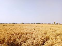 景点-稻梦空间