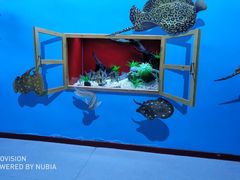 -乌鲁木齐海洋馆