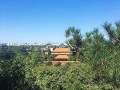 -成都驻京办餐厅(蜀都宾馆店)