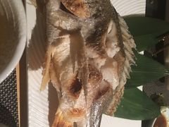 -泉寿司(万科公园店)