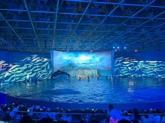 -海合安青岛极地海洋公园