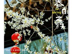-三里河公园