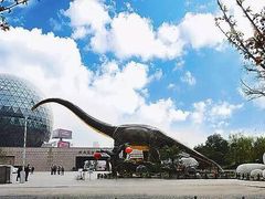 -陕西自然博物馆