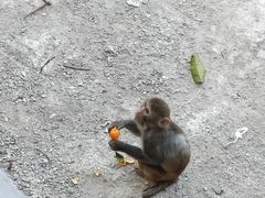 -广州动物园