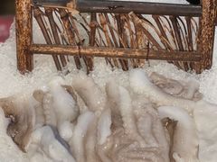 -红运火锅·中国名火锅·国风演绎(省体店)