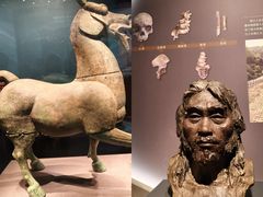 -广西壮族自治区博物馆