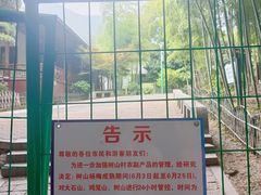 -树山生态村