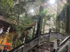 -龙脉温泉室内游泳馆