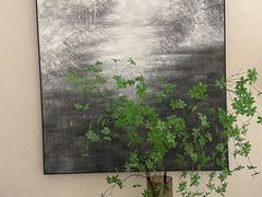 -浅森·龙凤筋SPA·私域调理