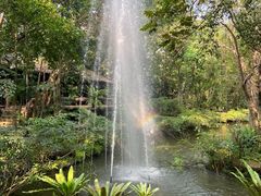 -绿光森林餐厅
