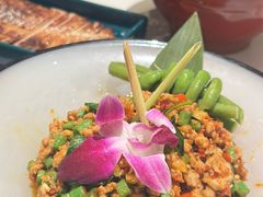 -太食獸泰式茶餐厅(IFS国金中心店)