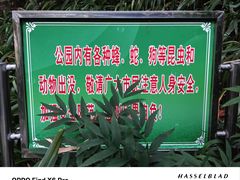 -龙头寺公园
