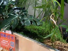 -茄子恰恰·新云南小炒(金池购物中心店)