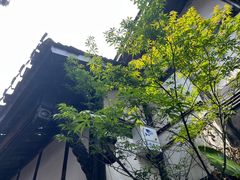 -磁器口古镇