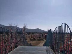 -丽江植物园