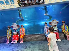 -成都浩海立方海洋公园