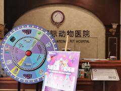 -宠爱国际动物医院· 猫科· 外科·中兽医(长白店)