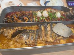 -鱼酷活鱼烤鱼(沈阳大悦城店)