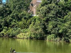 -中海·庐山西海君澜度假酒店·味屿全日制餐厅