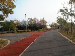 -上海长兴岛郊野公园