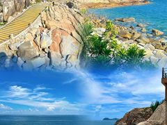 -广东惠东海龟国家级自然保护区