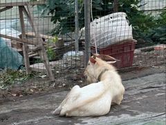 -马陆小张葡萄园农家乐