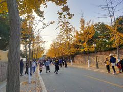 -八大关景区
