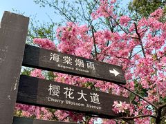 -南山植物园