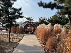 -羊亭河湿地公园