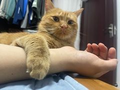 -萌兽医馆·宠物医院·猫骨科(创景店)