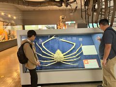 -大阪市立自然史博物馆