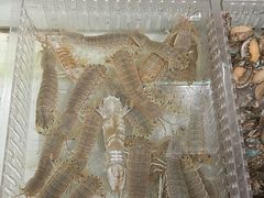 -山海经·海边人家 海鲜新青岛菜(扬州路店)