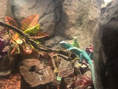 -成都浩海立方海洋公园