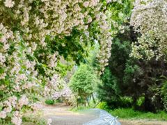 -国家植物园南园