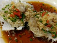 蒜蓉蒸扇贝-阿英煲(凉城路店)