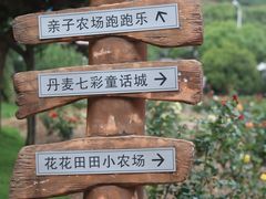 -达蓬山星梦乐园