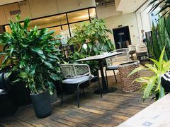 露天位-大树餐厅(红旗街万达店)