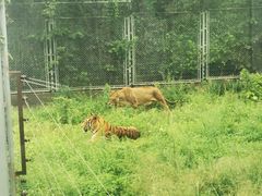 -西安秦岭野生动物园