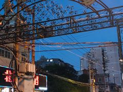 -溪岸路花鸟市场