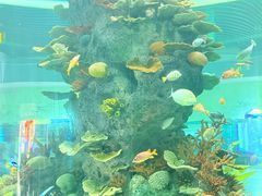 -福州罗源湾海洋世界旅游区